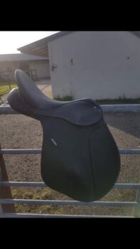 16.5” wintec saddle black, Wintec Wintec, Shelby stokes, All Purpose Saddle, Manchester 