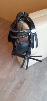 2 Fahrzäume mit Scheuklappen WB / KB, Ideal, Silke Blank, Horse Harness, Sulzberg