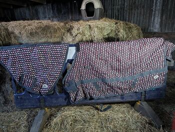 4'9 Requisite Heavy Weight Turnout Rug With Detachable Neck, Requisite , Karina, Horse Blankets, Sheets & Coolers, Thornhill