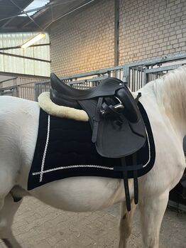 ACAVALLO DRESSURSATTEL PERUGINO MIT MAG SYSTEM/ CARBONBAUM, Acavallo PERUGINO, Malia Busen, Dressage Saddle, Mönchengladbach