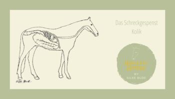 Fortbildung Das Schreckgespenst Kolik – Vorbeugung, frühzeitiges Erkennen und 1. Hilfe, Sabine vom WSR-Team, Courses & Seminars, Nuthe-Urstromtal