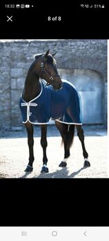 Amigo Net Cooler 6ft, Horseware Amigo Net Cooler, Jane Packham, Horse Blankets, Sheets & Coolers, Folkington