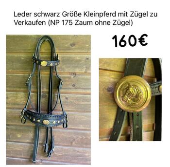 Bärockzaum Kleinpferd, Tom, Nosebands,  Bregenz 