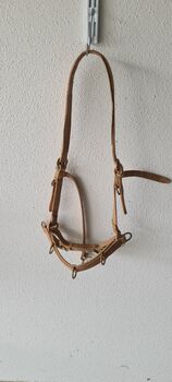 Bodenarbeit Balanced Horseman Balancio ohne Naseneisen, Balancio von Balanced Horseman (Vorgängerversion ohne Naseneisen) Balancio von Balanced Horseman (Vorgängerversion ohne Naseneisen), Balanced Horseman Balancio ohne Naseneisen, Daniel, Bodenarbeit, Illerkirchberg