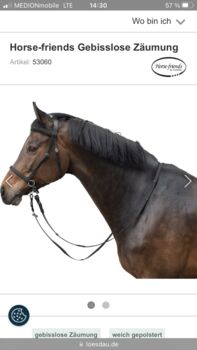 Gebisslose Zäumung von Horsefriends mit geschlossenen Zügeln, Horsefriends von Loesdau, Heidrun Schäfer, Bitless Bridles, Markt Nordheim