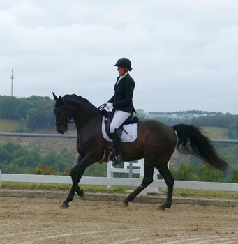 Rappwallach, Katharina Büttner , Horses For Sale, Breckerfeld