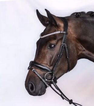 Bridles & Headstalls Bridlery Charm, Trense Charm von Bridlery in der Größe VB Trense Charm von Bridlery in der Größe VB, Bridlery Charm, Milena, Bridles & Headstalls, Sindelfingen