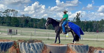 Buckskin Gelding AQH, Heritage Quarter Horses Ranch, Horses For Sale, Los Angeles