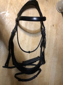 Eco rider full bridle, Eco rider, Harriet Miles, Bridles & Headstalls, Ellington Thorpe 