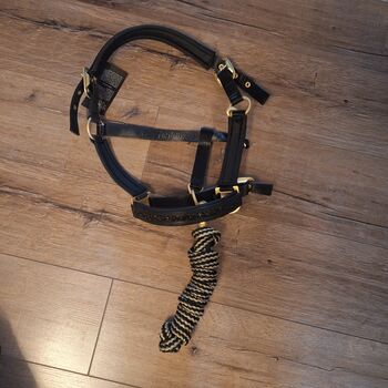 Halters Eskadron, Eskadron Halfter mit Führstrick Antiquegreen Eskadron Halfter mit Führstrick Antiquegreen, Eskadron , ADN, Halters, Duisburg