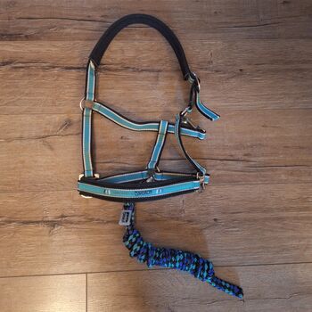 Halters Eskadron, Eskadron Halfter mit Führstrick Mint Eskadron Halfter mit Führstrick Mint, Eskadron , ADN, Halters, Duisburg