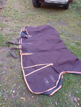 Pferdedecken Fedimax, Fedimax Paddockdecke high Neck, mit Fleece, top Zustand, 155cm Fedimax Paddockdecke high Neck, mit Fleece, top Zustand, 155cm, Fedimax, S. Voigt, Pferdedecken, Schönfließ