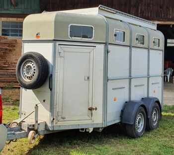 Pferdeanhänger Böckmann Quersteher für 3 ISLANDPFERDE, Böckmann  Böckmann Traveller 3 Compact, B.Grütter, Horse Trailers, Uelzen 