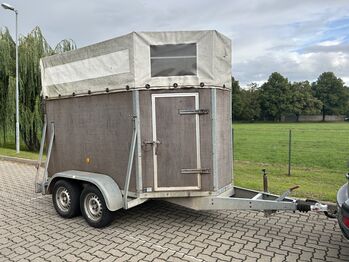 Pferdeanhänger HKM, HKM , Nicole, Horse Trailers, Bernburg