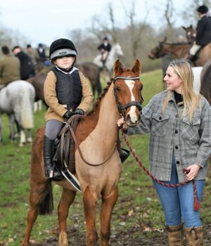 Horses For Sale Hunting, Pony Club pony Hunting, Pony Club pony, Sianie, Horses For Sale, Desborough