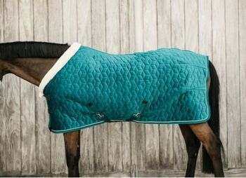 Kentucky Horsewear Showrug Velvet Emerald in 145cm Neu, Kentucky Horsewear, Sandra Denningmann, Pferdedecken, Münster