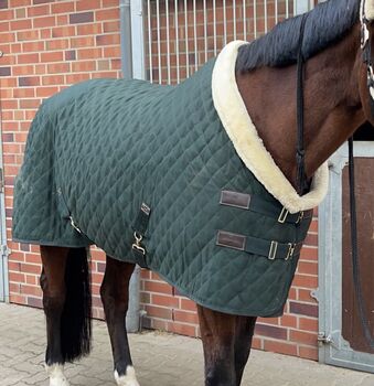 Kentucky Stalldecke 160g XL/155, Kentucky , Pia B., Horse Blankets, Sheets & Coolers, Ahrensburg 