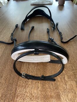 Kieffer Trensenzaum, Reithalfter full, Kieffer, Rosalie, Nosebands, Forstern