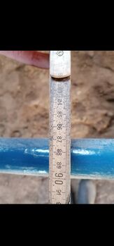 Carriages Groß Pferd Sulky Groß Pferd Sulky, Sunbeam Ranch! , Carriages, Kaufbeuren