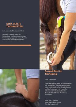 Manuelle Therapie am Pferd, Nina Thorwesten , Therapie & Behandlung, Hamm