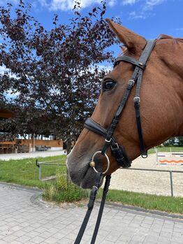 Konie na sprzedaż Wunderschöne Fuchsstute mit Herz & Perspektive Wunderschöne Fuchsstute mit Herz & Perspektive, Lia , Konie na sprzedaż, Leingarten