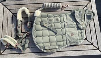 Pony-Set Schabracke, Halfter, Strick und Fliegenohren, Felix Bühler Pony, Antonia, Dressage Pads, Gaienhofen