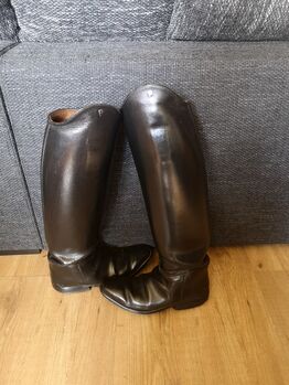 Reitstiefel und/ oder Lederchaps zuverkaufen, Petrie , Anna , Reitstiefel, Niedersachsen - Bremervörde