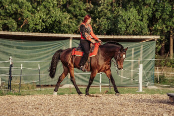 Beritt für Ihr Westernpferd, Erlangen-Höchsatdt, Strong Together Horsetraining UG, Verena + Janina, Riding Lessons, Gremsdorf