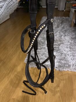 Trense braun WB, Claridge House , Alena Geyer , Bridles & Headstalls, Bruchmühlbach-Miesau