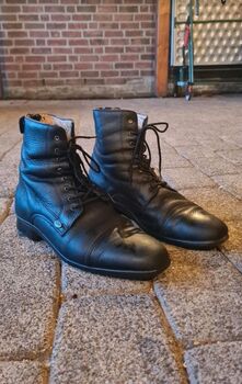 Stiefeletten Felix Brühler Venezia 40, Felix Bühler , Hannah, Reitstiefeletten, Winsen