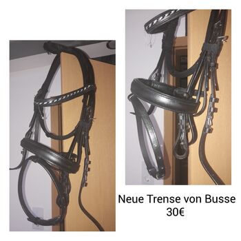 Trense von Busse, Busse, Tanja, Trensen, Jübek