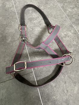 Verschenke Halfter von Horseware Amigo, Horseware, Katharina , Halfter, Neukirchen 