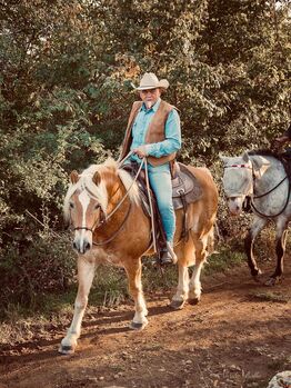 XXL Haflinger Wallach, Kronwitter Petra , Pferd kaufen, Mainbernheim