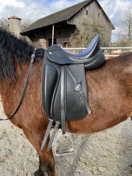 Zaldi Dressursattel „Millenium“, Zaldi Millenium, Stefanie Schindler, Dressage Saddle, Moosdorf