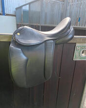 15” MW show saddle Ambassador Show pony 