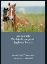 Therapie & Behandlung