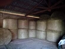 Hay & Straw