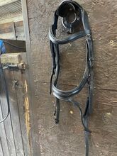 Anatomical bridle