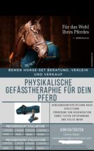 Bemer Horse Set Verleih Bemer