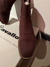 Cavallo brogue pro nubuk oxblood 6,5 (40/42) neu Stiefelette Stiefel Cavallo  Brogue pro nubuk 