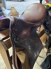 Collegiate Jumping Saddle -17” Collegiate