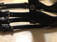 Eco rider full bridle Eco rider