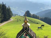 Einstellplatz Pensionsplatz für Pferde mit Lungenproblemen oder Sommerekzem!