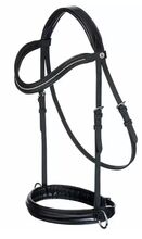 Bitless Bridles