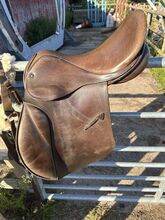 Jeffries falcon saddle brown Falcon  Jeffries falcon 