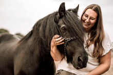 Horse photography