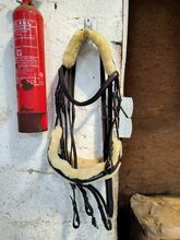 Bridles & Headstalls