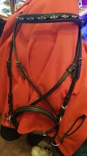 Bitless Bridles