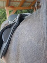 SADDLE Kentaur Kentaur Jupiter