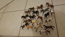 Schleich Fohlen Schleich  Fohlen 